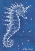Ocean Unicorn